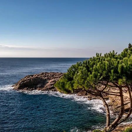 Eden Roc & By Brava Sant Feliu de Guíxols